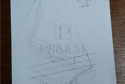Teren agricol extravilan de 47732 mp, în Urseni