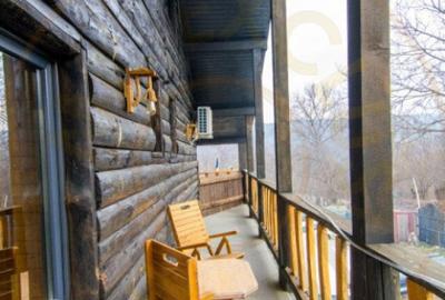 Casa de vacanta sau afacere la cheie in Loc. Nucsoara, jud. - 14