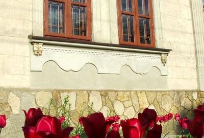 Casă cu 5 camere cu Teren 3610 Mp în Central - 9