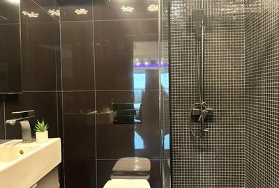 Duplex , terasa 100mp, Parc Herastrau - 9