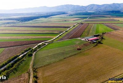 Teren de 18000 mp, în Feldioara - 8