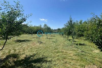 Royal Imobiliare-Vanzare Vila Zona Romanesti - 27