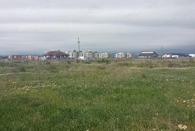 Teren de 4000 mp, în Petrești