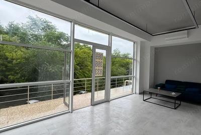 Birou de inchiriat in zona Timpuri noi - 4