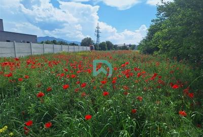 Teren intravilan de vanzare Bartolomeu  Brasov - 6