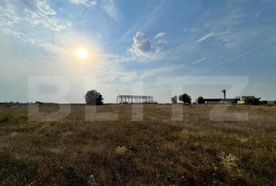 Teren intravilan 15.039 mp, Gherce?ti, zona Aeroport - 3