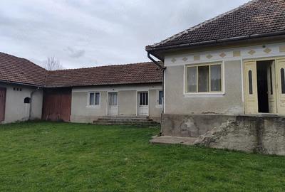 Casă cu Teren 4500 Mp în Ștei - 1