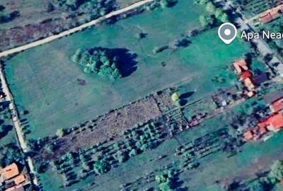 Teren de 10000 mp, în Apa Neagră - 2