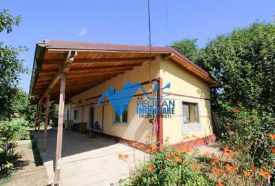 Casa cu teren in Cataloi - 2500mp