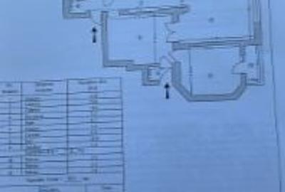 Apartament cu 3 camere decomandat în Ferdinand - 32