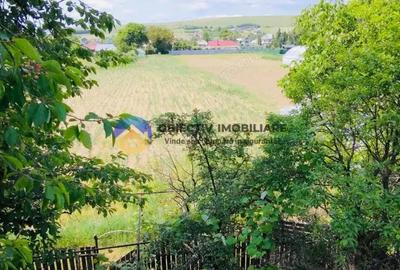 Casă cu Teren 2050 Mp în Bodești - 10