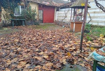 RECO Casa Saldabagiu Mic - 5