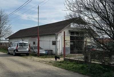 Spațiu industrial, de 250 mp, în Sântimbru - 20