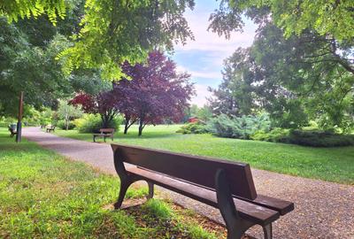 Vilă la liziera pădurii Mogoșoaia - 22