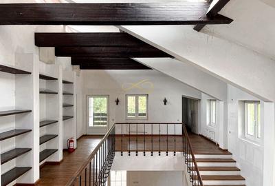 Casa Snagov | 9 Camere | Iesire la lac | Ponton - 13