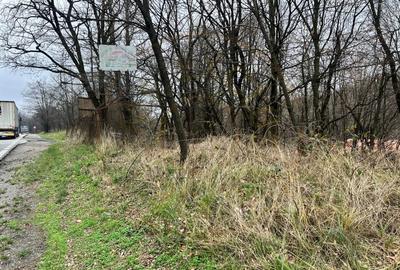 Teren intravilan 6.500 m²–Deschidere 144 ml drum european E81, km 35, Moraresti - 5