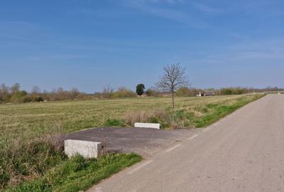 Spațiu comercial, în Blajova - 4