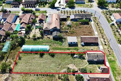 Proprietate cu poten?ial comercial ?i vizibilitate maxima in Macea - 2