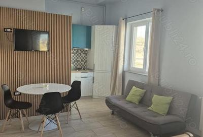 Garsonieră decomandată în Nord - 1