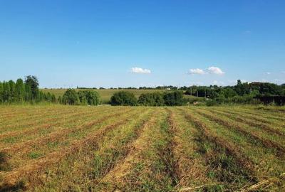 Teren Intravilan | RATE | Adunatii Copaceni | 3400 Mp | 22 Km Bucuresti - 3
