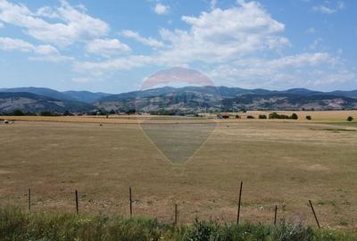 Teren industrial 10.000 mp Vintu de Jos investitie - 2