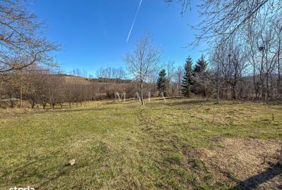 Spațiu comercial, în Poplaca - 8