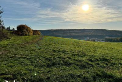 Teren de 5487 mp, în Sânmartin - 2