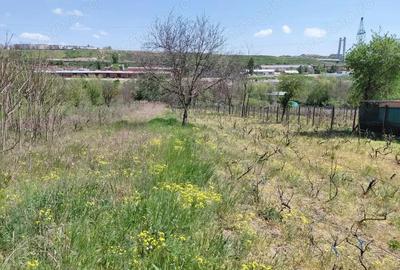 Teren de 3250 mp, în Central - 2