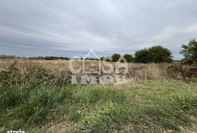 Teren de 15000 mp, în Centură - 5