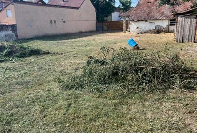 Teren Timisoara, Fratelia, str. Herculane, 1406mp, FS=20m, casa veche, com=0% - 3