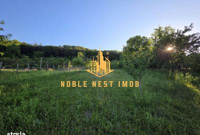 Casă cu 5 camere cu Teren 2500 Mp în Central - 15