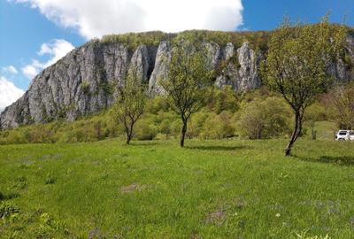 Spațiu comercial, în Vulcan - 3