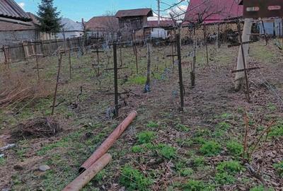 Teren de 1273 mp, în Exterior Vest - 1