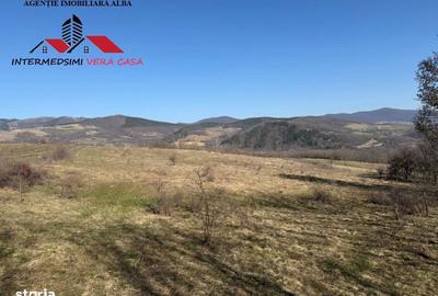 Teren de 28900 mp, în Vințu de Jos - 3