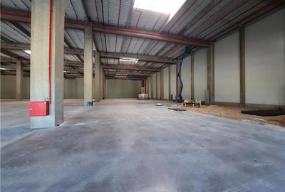 Spatii Industriale - 6500 mp - Logistica - Productie - Depozitare - Distributie - 4