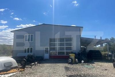 Teren 5000 mp cu hala de 280 mp in Isalnita, cu deschidere l - 4