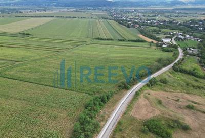 Teren de 3.600 mp Racova - 2