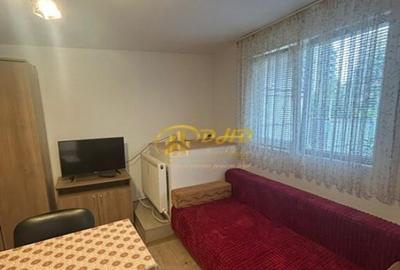 CUG, Garsoniera, curte, cada, zona lini?tita, 25mp, 250 euro - 5