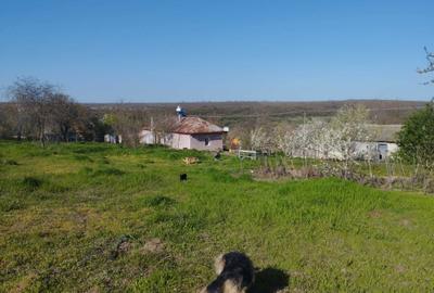 Casă cu 2 camere cu Teren 2500 Mp în Dumbrăveni - 8