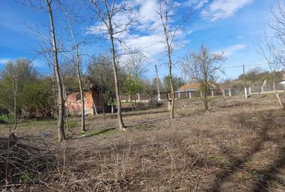 Teren de 2900 mp, în Sălcuța - 2