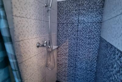 Casa de Vanzare, 300 mp, 1000 mp teren , Gruia , Zona strazii Romuls Vuia - 20