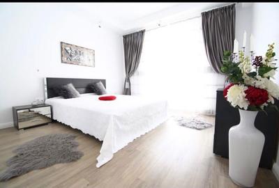 Apartament cu 2 camere în Tunari - 2