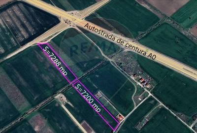 Teren intravilan 7209 mp, Bragadiru Teren intravilan 7209 mp, Bragadiru - 5