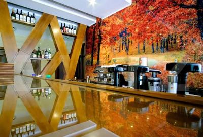 Afacere la cheie! Hotel cu 24 de camere, 1.850 mp, zona Luna - 8