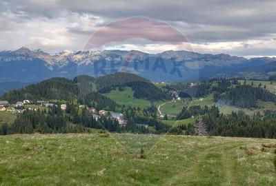 O fereastra catre cer - teren de vis in Fundata, la poalele Bucegilor - 3