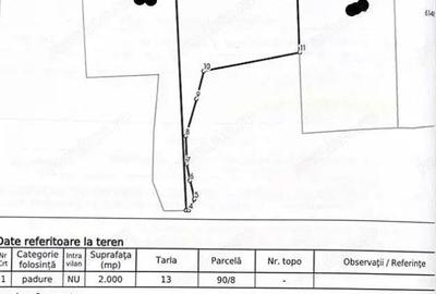 Teren Filipeni, Padure, ID: R2388722 - 5