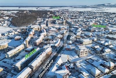 Apartament cu 3 camere decomandat în Buziaș - 11