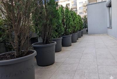 Apartament cu 3 camere decomandat, mobilat în Pipera - 1