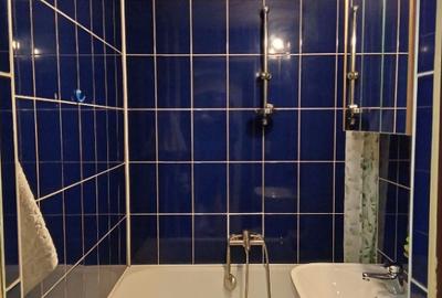 Apartament 3 camere parter Salajan - 5