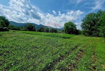 Teren intravilan 1000 mp Vii?oara, utilita?i - 18